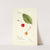 Prunus avium: Socsany White by Bertha Heiges