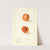 Prunus mume: Nellie by Ellen Isham Schutt