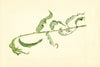 Prunus persica