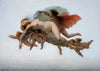 Psyche