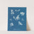 Ptilota plumosa β capillaris (1843-1853) by Anna Atkins