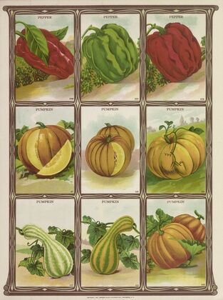 Pumpkin (1921)