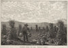 Pumpkins Among the Corn (1878)