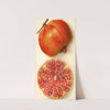 Punica granatum by Amanda Almira Newton