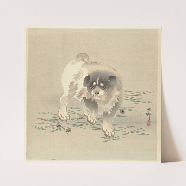 Puppy (1900 - 1930) by Ohara Koson