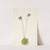 Purple Butterwort. Pinguicula elatior (1925) by Mary Vaux Walcott