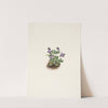 Purple Mountain Violet. Viola adunca (1925) by Mary Vaux Walcott