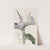 Purple Roscoea (1815-1819) by Sydenham Edwards