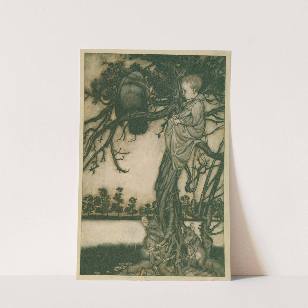 Put his strange case before old Solomon Caw (1913) by Arthur Rackham