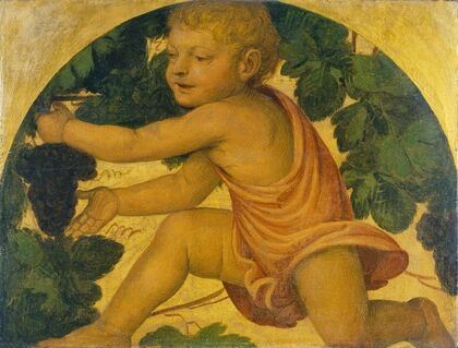 Putto picking Grapes