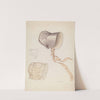 Quaker Bonnet by Lillian Causey