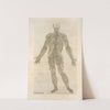 Quanta neruorum tabula. [Human Nervous system] (1545) by Thomas Geminus