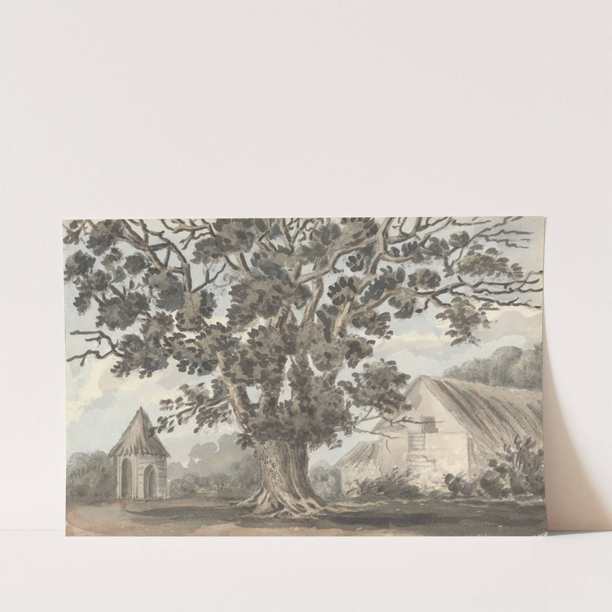 Queen Elizabeth's Oak near Finborough Hall by Anne Rushout