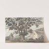 Queen Elizabeth&#039;s Oak near Finborough Hall by Anne Rushout