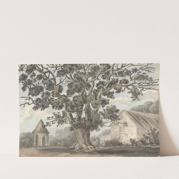 Queen Elizabeth&#039;s Oak near Finborough Hall by Anne Rushout