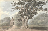 Queen Elizabeth’s Oak near Finborough Hall July 31, 1824