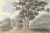Queen Elizabeth’s Oak near Finborough Hall July 31, 1824