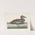 Quequedula Americana variegata, The White-Face Teal. by Mark Catesby