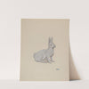 Rabbit by Rex F. Bush