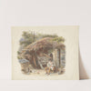 Rabbits by Alfred W. Cooper