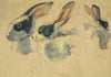 Rabbits