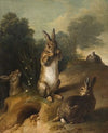 Rabbits (1720-1729)
