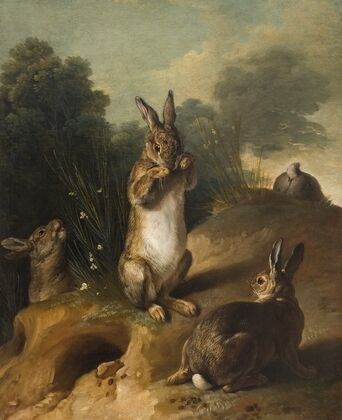 Rabbits (1720-1729)