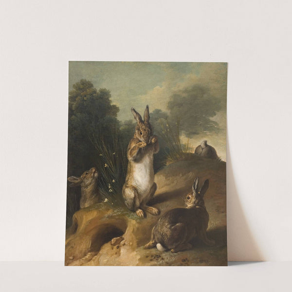 Rabbits (1720-1729) by Alexandre François Desportes