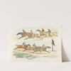 Race (1817-1818) by Henry Thomas Alken