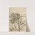 Ragged Tree – Maine (1903-1925) by Ernest Haskell