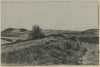 Raised bog