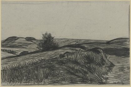 Raised bog