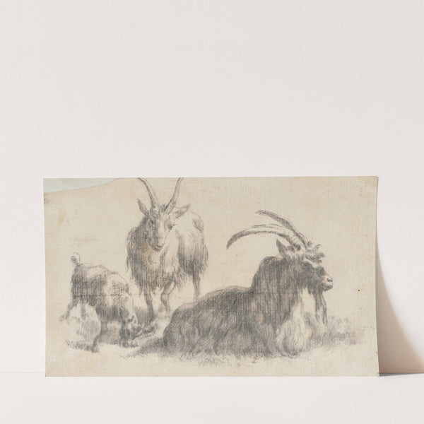 Ram, Ewe and Kid (17th century) by Marcus de Bye