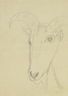 Ram head
