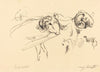 Rams (Schafböcke)