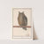Ransuil (Asio otus) uijl. Bubo. hibou (1596-1610) by Anselmus Boëtius de Boodt