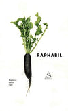 Raphabil (1910-1950)