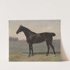 Rappe in Landschaft (1886) by Emil Volkers