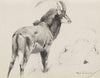 Rappenantilope (1912)