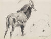 Rappenantilope (1912)