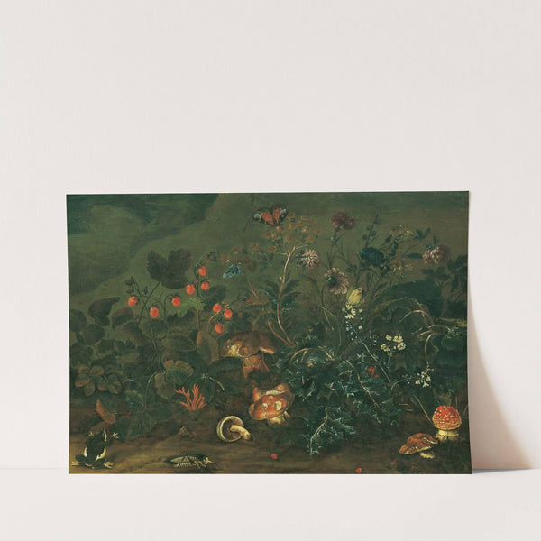 Rasenstück mit Erdbeeren und Grille by Franz Michael Siegmund von Purgau the elder