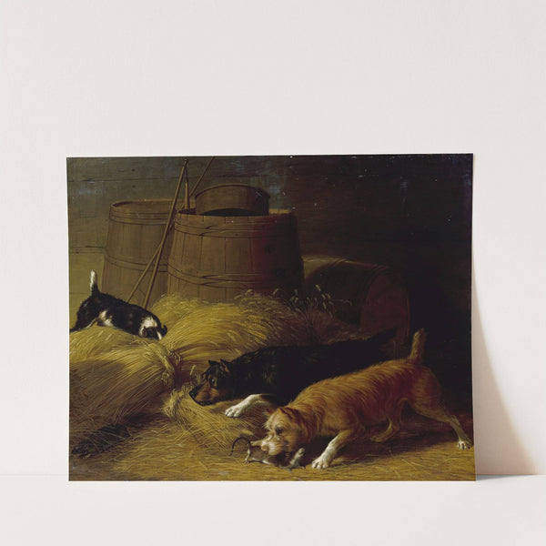 Rats amongst the Barley Sheaves by Thomas Hewes Hinckley