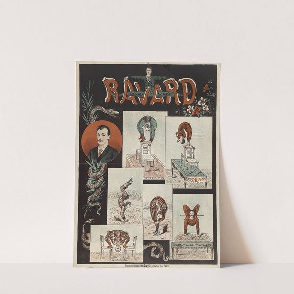 Ravard by Anonymous