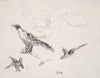 Ravens, Donkey, Rabbit, and Goose