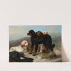 Ready for sport by George W. Horlor