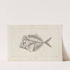 Recherches sur les poissons fossiles Pl.001 by Louis Agassiz