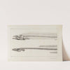 Recherches sur les poissons fossiles Pl.004 by Louis Agassiz
