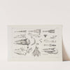 Recherches sur les poissons fossiles Pl.011 by Louis Agassiz