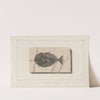 Recherches sur les poissons fossiles Pl.019 by Louis Agassiz