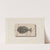 Recherches sur les poissons fossiles Pl.019 by Louis Agassiz